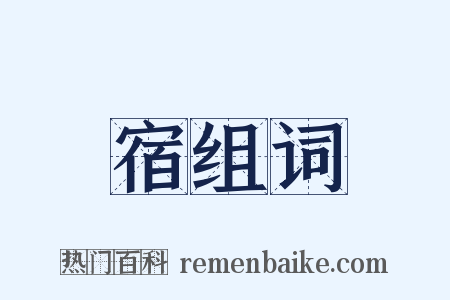 宿组词是什么意思的图片